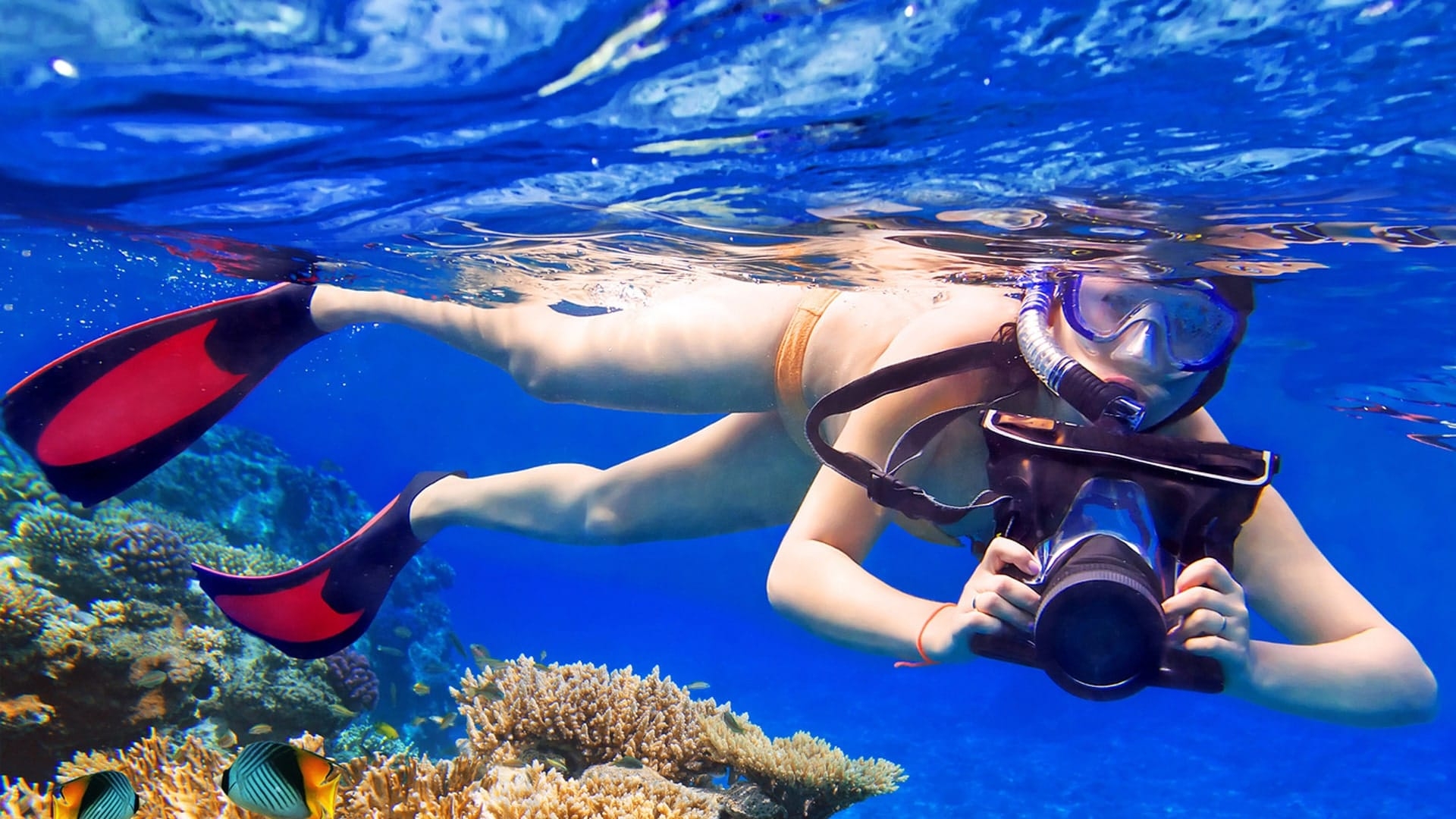 Apnea Photo & Video