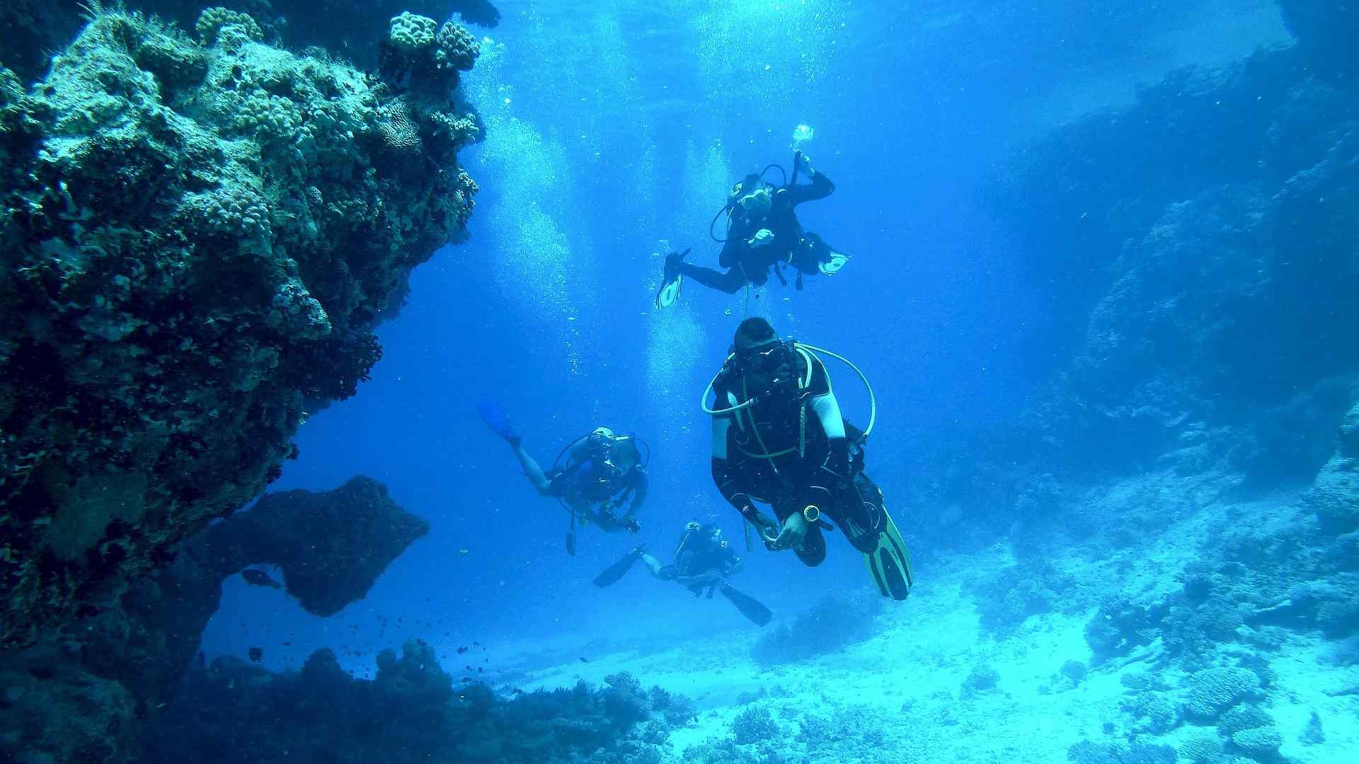 Group Leader