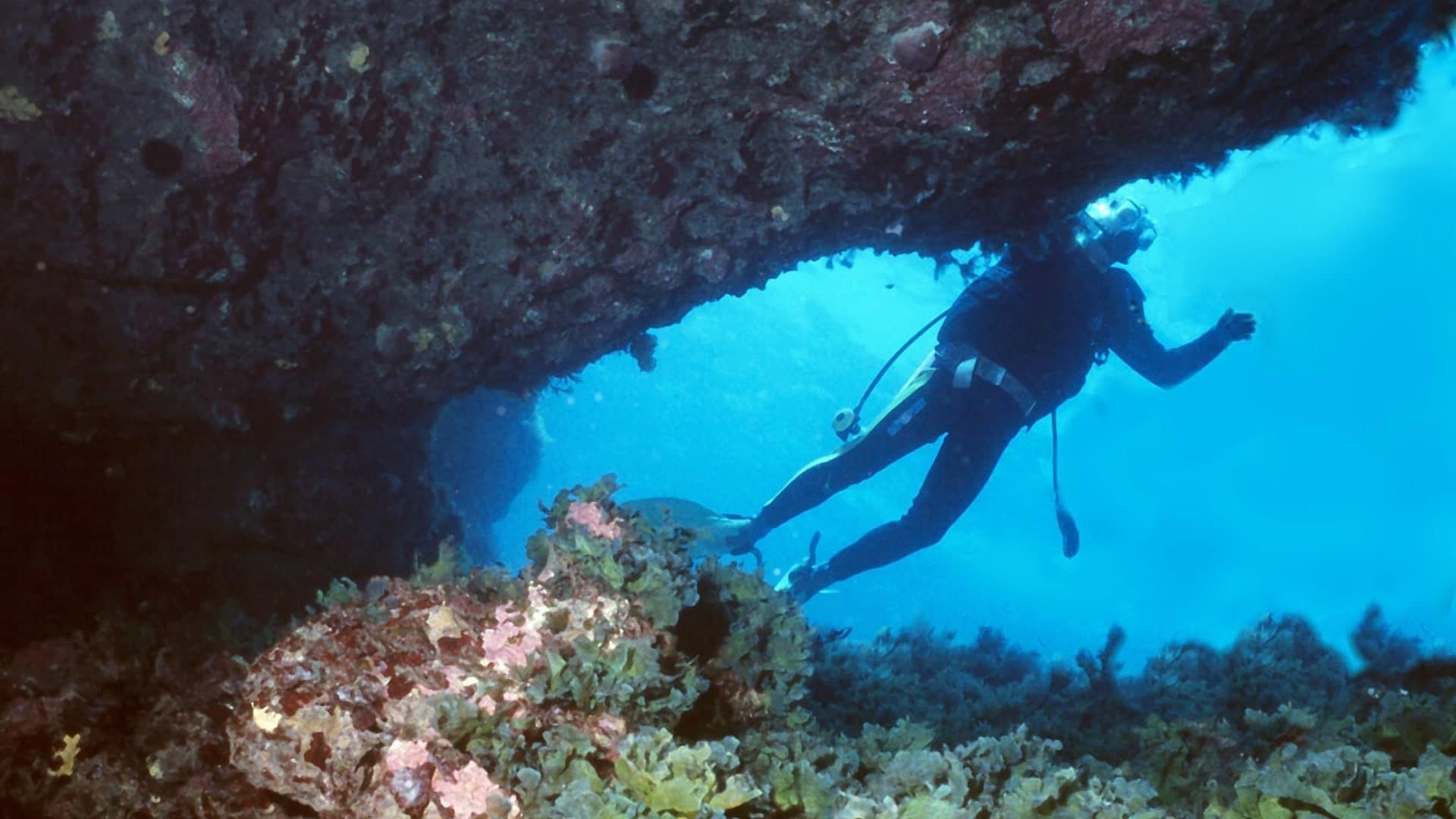 Intro Cave (1)