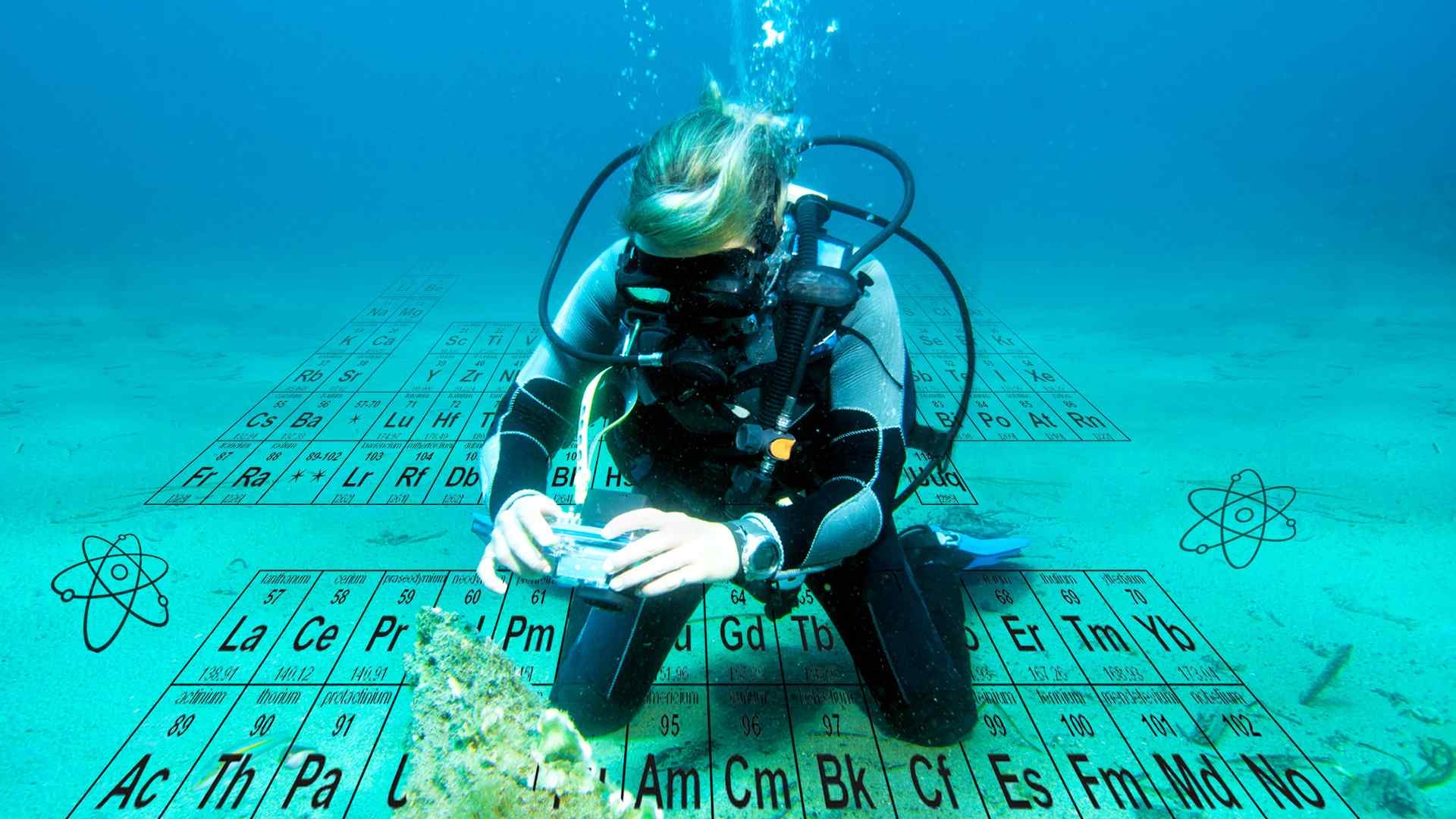 Scientific Diver