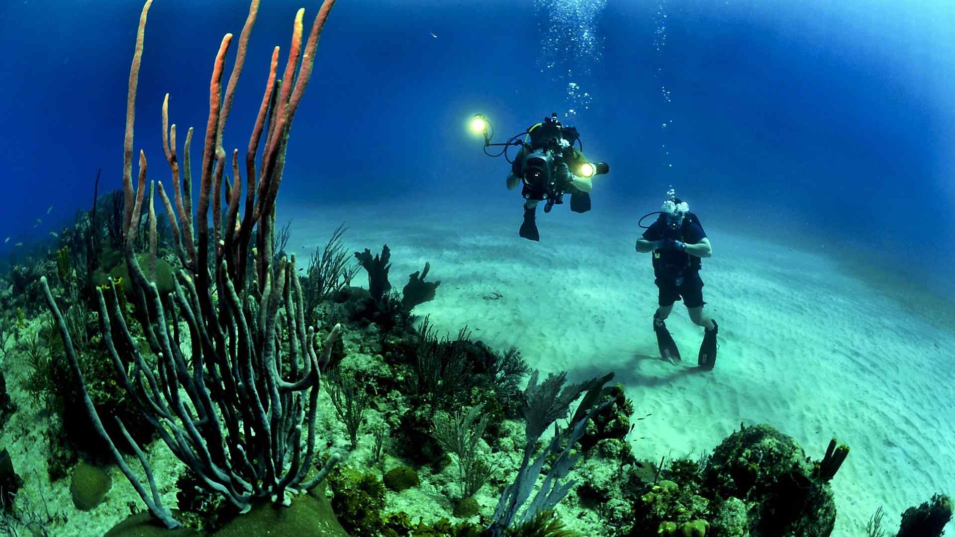 Underwater Video