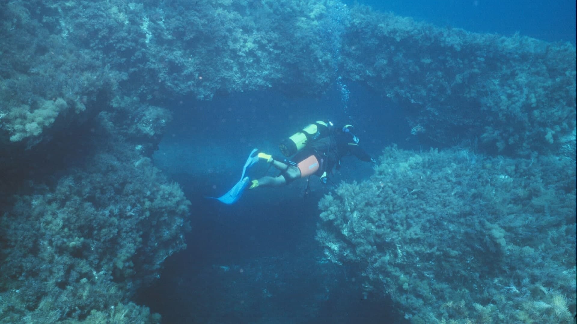 Cave Rescue