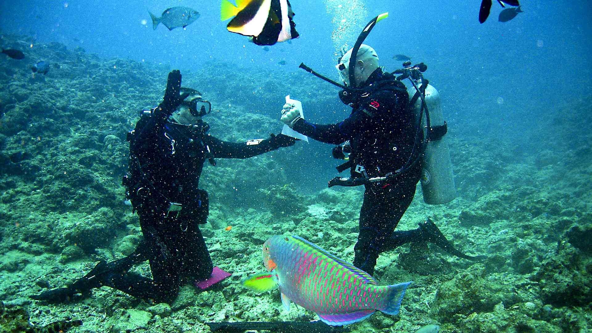 Scuba Core Instructor