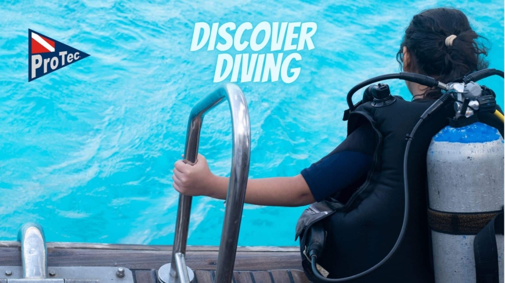 Join our Discover diving program